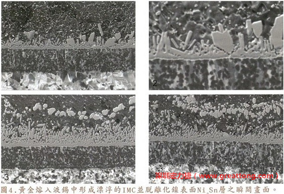 下面四張圖片為放大4500倍的SEM圖像，說明在回流焊爐熱量不足的情況下，黃金成份正要從鎳層分離融入焊錫之中的瞬間，當零件遭受外力沖擊的時候就極有可能從這一整排AuSn、、AuSn2或AuSn4的IMC處裂開。